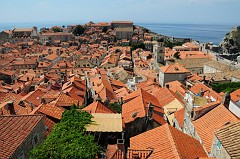 Dubrovnik - Croazia550DSC_3543